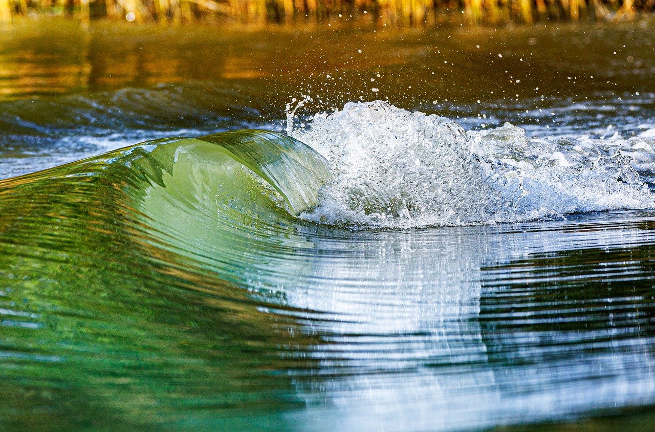 danube river, wave, nature